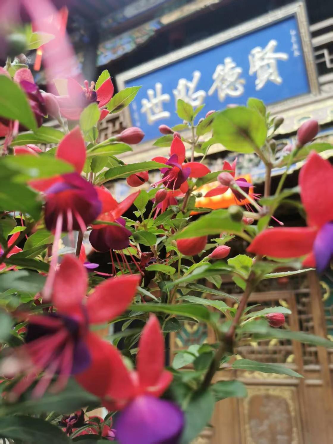 Pingyao Hu Lu Wa Home Inn 외부 사진